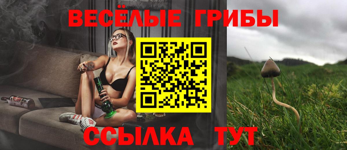 Галлюциногенные грибы Cubensis  Псилоцибиновые грибы прущие грибы  Новоалтайск  Вход с VPN 
