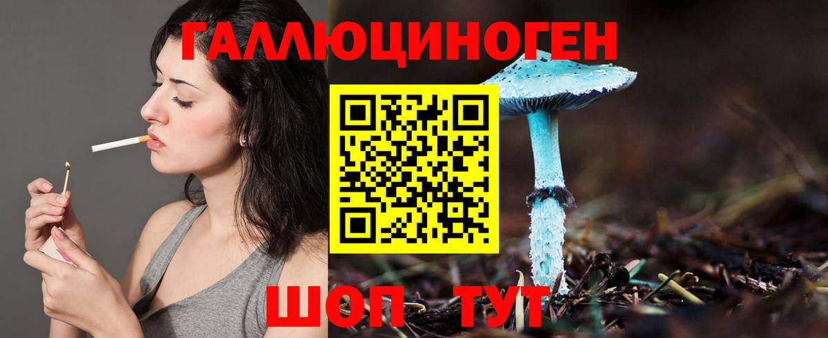 Галлюциногенные грибы MAGIC MUSHROOMS Новоалтайск