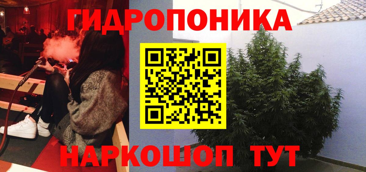 Бошки Шишки планчик Новоалтайск